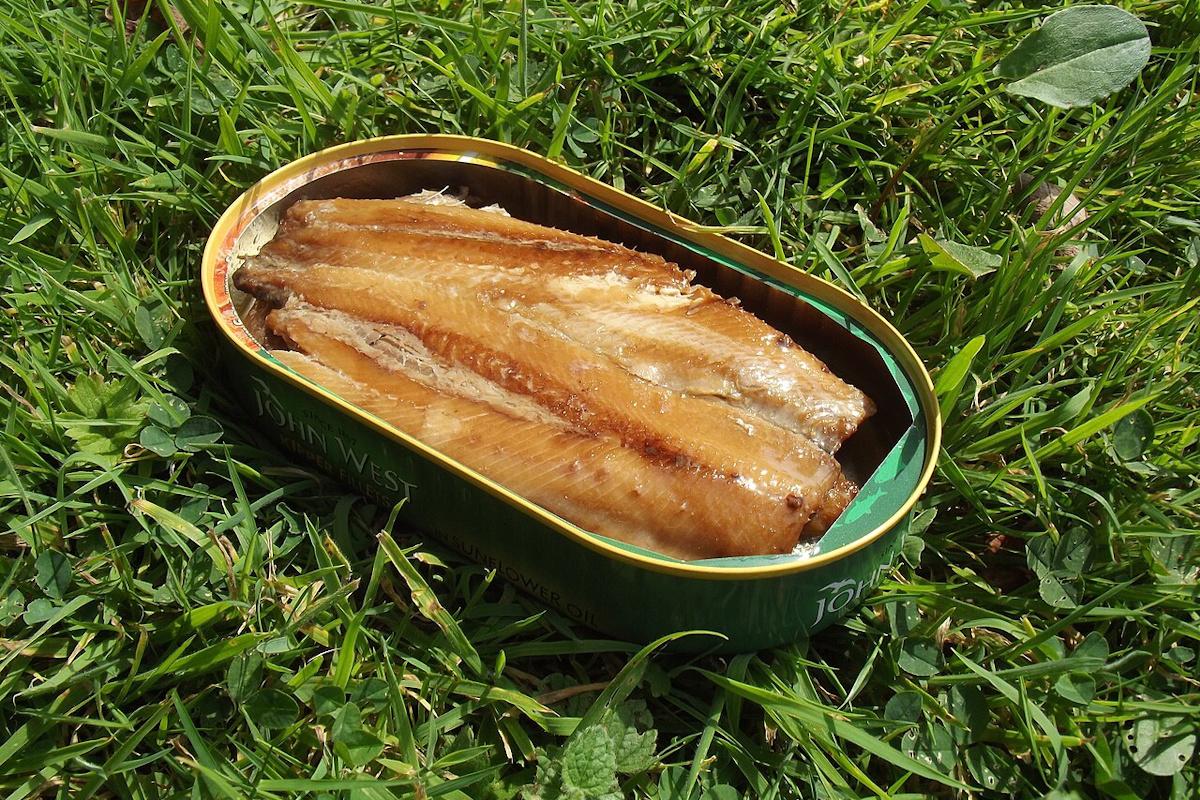 Банку лосося відкрили через 50 років: результат здивував учених