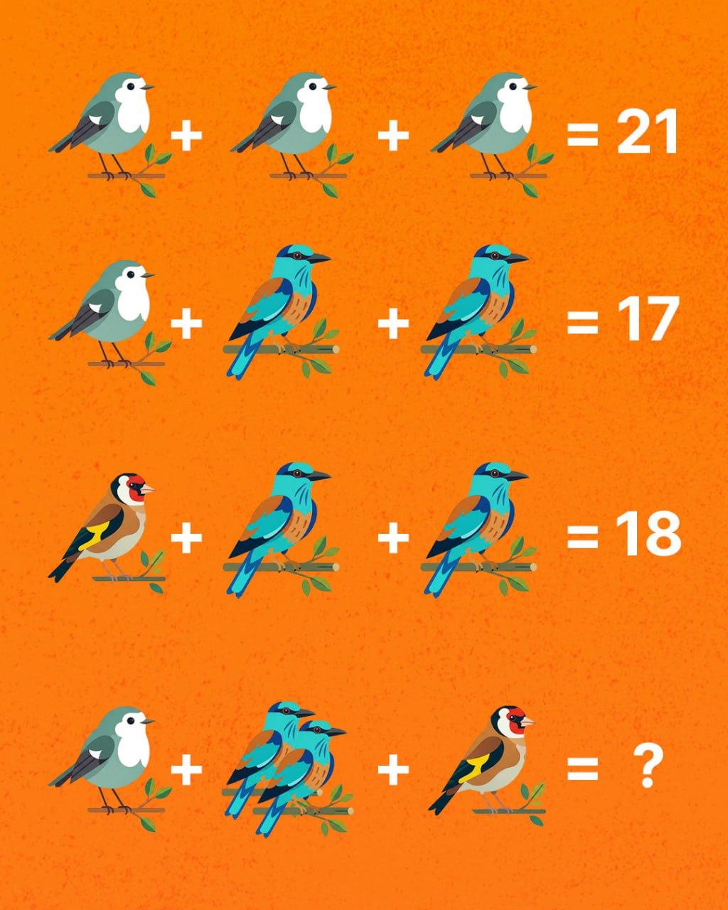 Только гений способен посчитать всех птиц: удивительно сложная головоломка