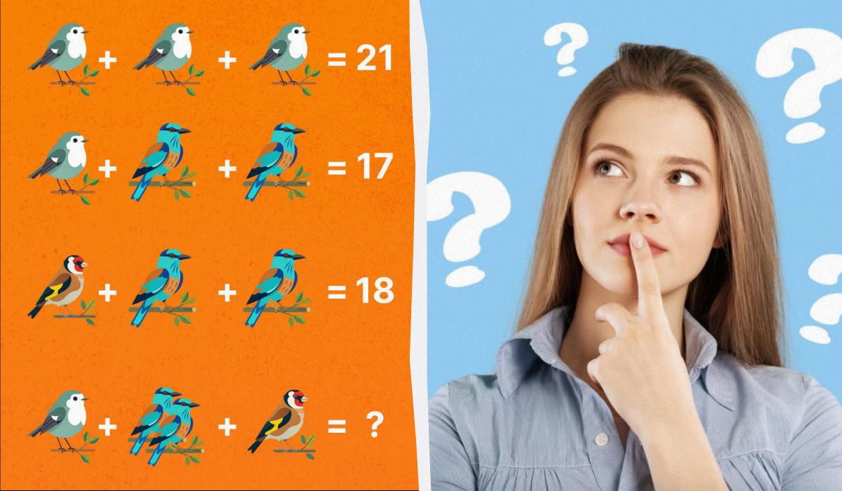 Только гений способен посчитать всех птиц: удивительно сложная головоломка