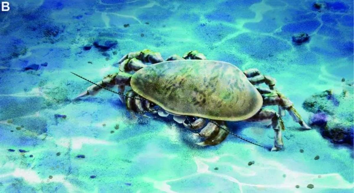 Вчені виявили рідкісну скам'янілість із майже повним тілом і потужними щелепами