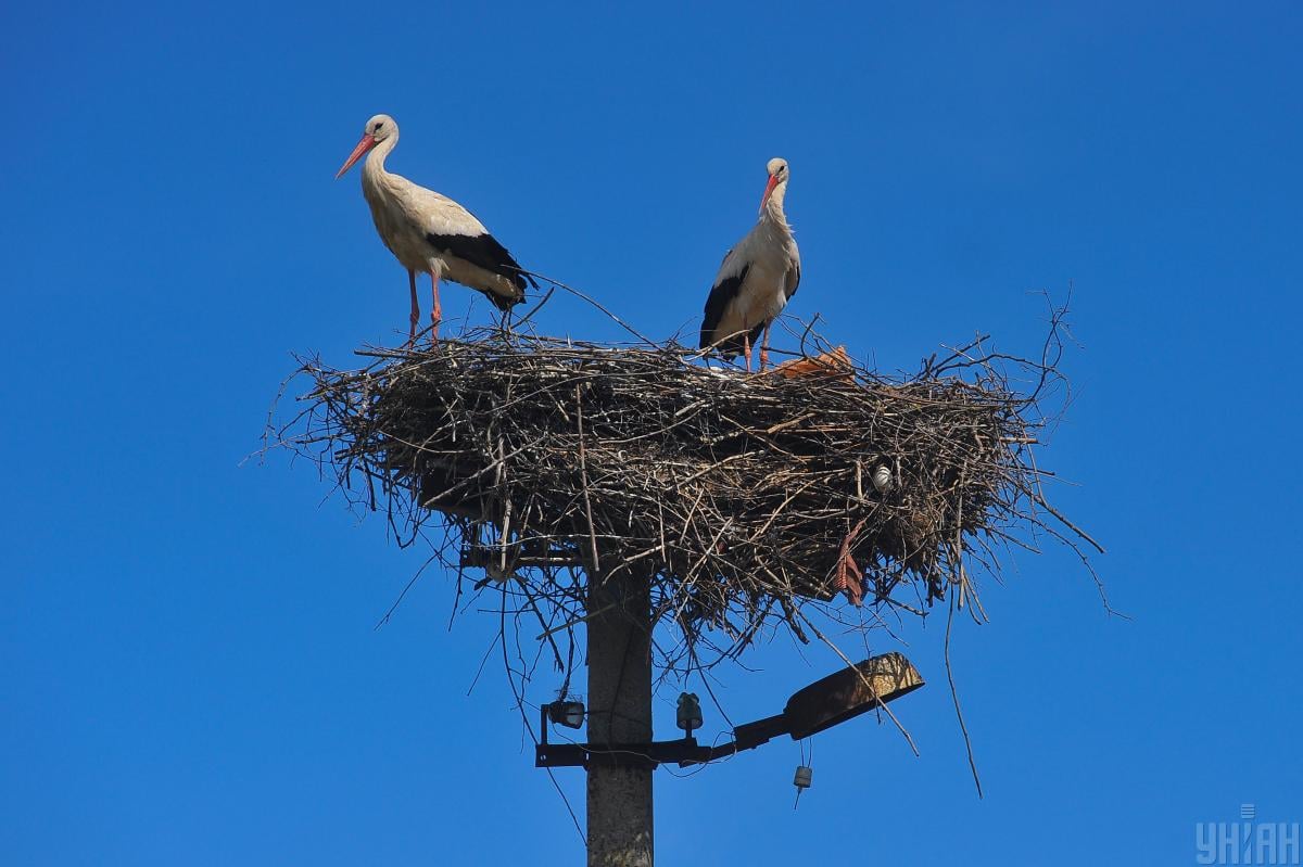 Синоптик рассказала, какая погода ждет украинцев в день весеннего равноденствия