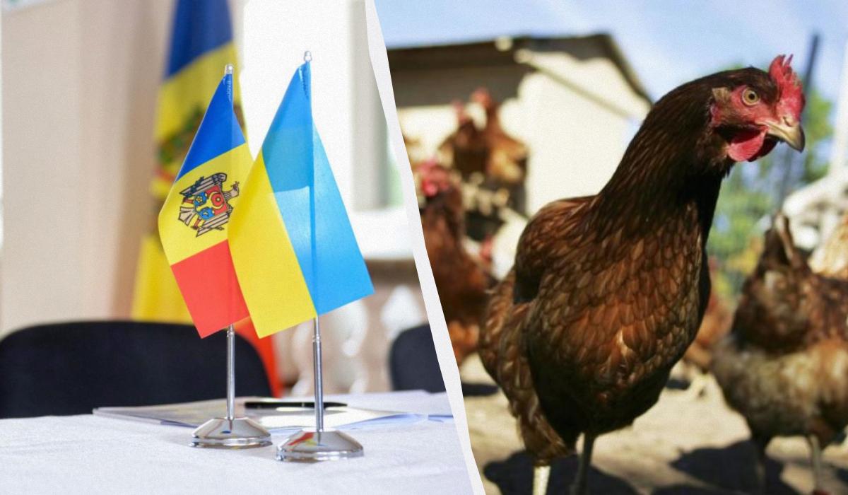 Молдова намеренно препятствует экспорту куриного мяса из Украины еще с 2022 года, – эксперт