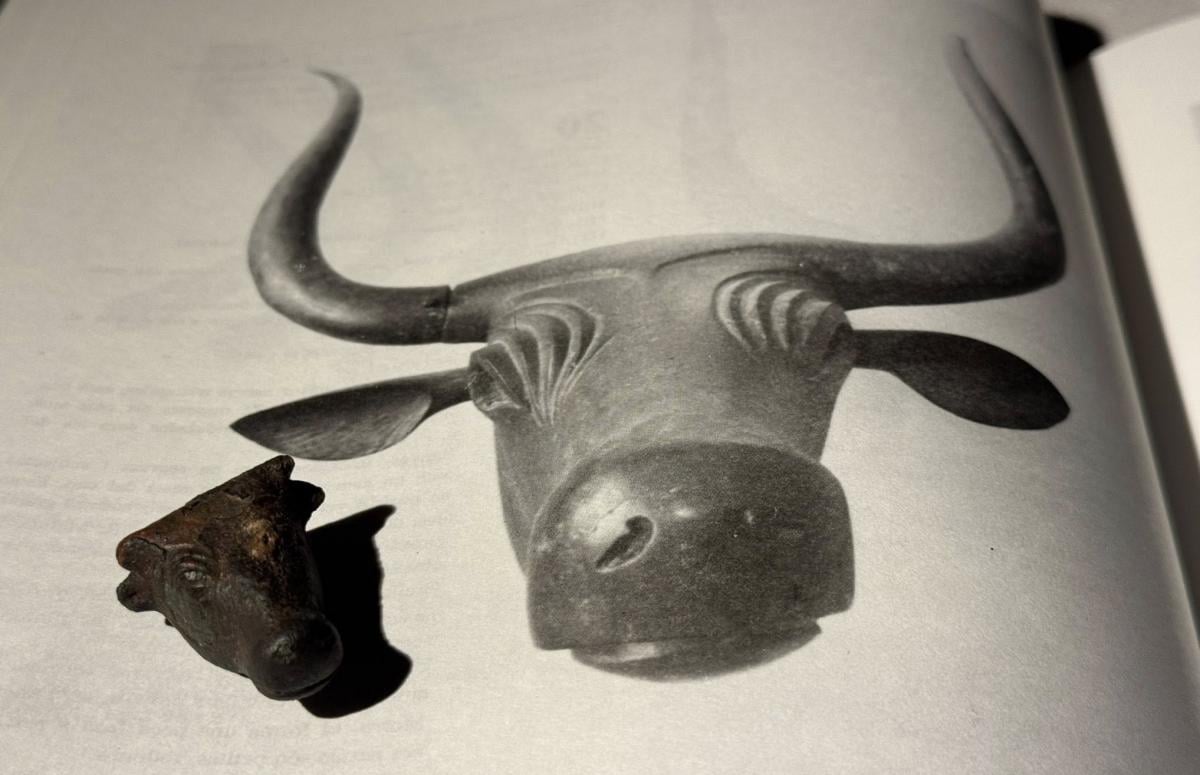 На Майорці було знайдено рідкісну бронзову голову бика, якій понад 3000 років На Майорці було знайдено рідкісну бронзову голову бика, якій понад 3000 років