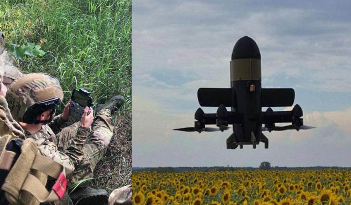 Украинцы сбили несколько иранских дронов в одной из стран Персидского залива, - BBC Украинцы сбили несколько иранских дронов в одной из стран Персидского залива, - BBC