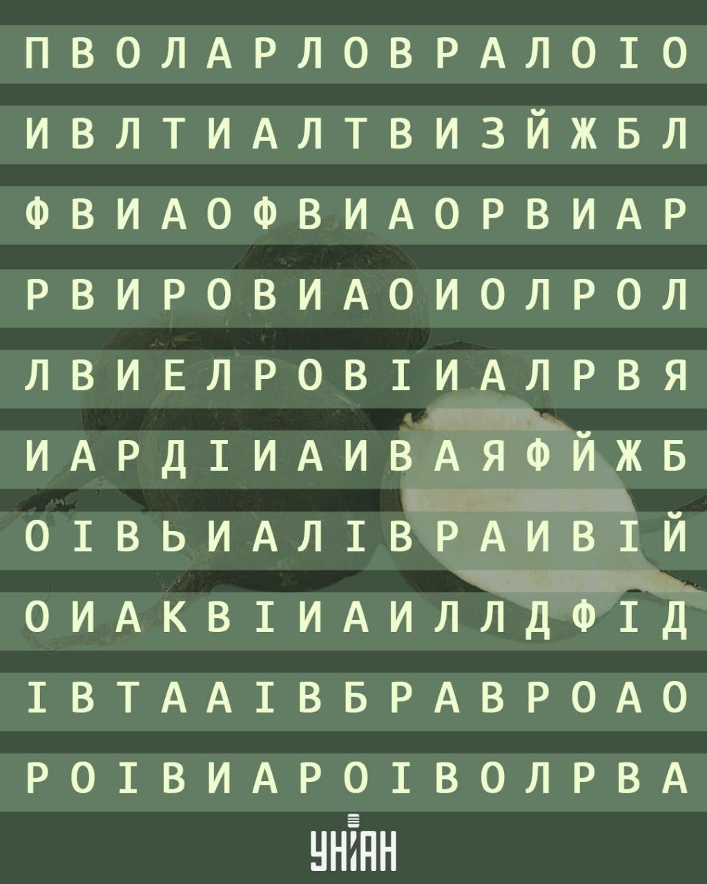 98% людей не можуть знайти слово 'редька' за 12 секунд: хитра оптична ілюзія 98% людей не можуть знайти слово 'редька' за 12 секунд: хитра оптична ілюзія