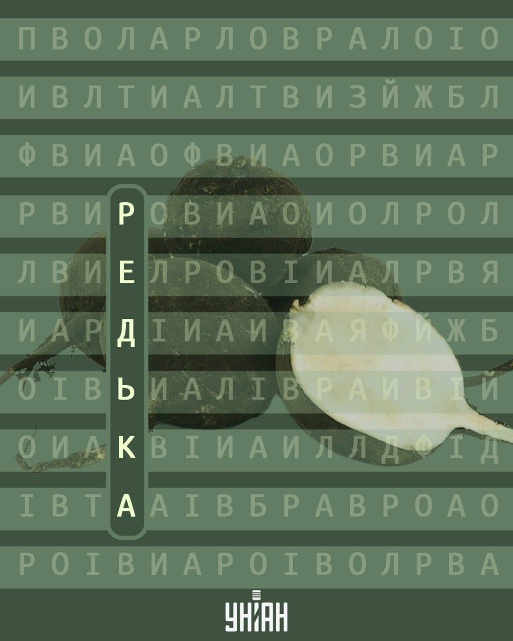 98% людей не можуть знайти слово 'редька' за 12 секунд: хитра оптична ілюзія 98% людей не можуть знайти слово 'редька' за 12 секунд: хитра оптична ілюзія