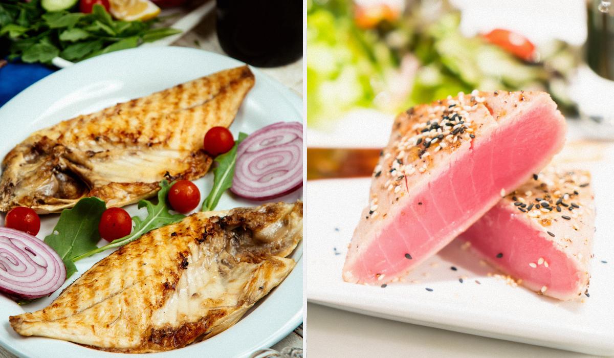 Самая дорогая рыба в мире 