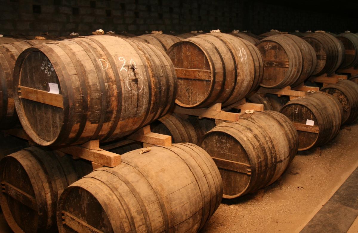 В Норвегии обнаружили дубовые бочки XVII века, раскрывающие тайны строительства города