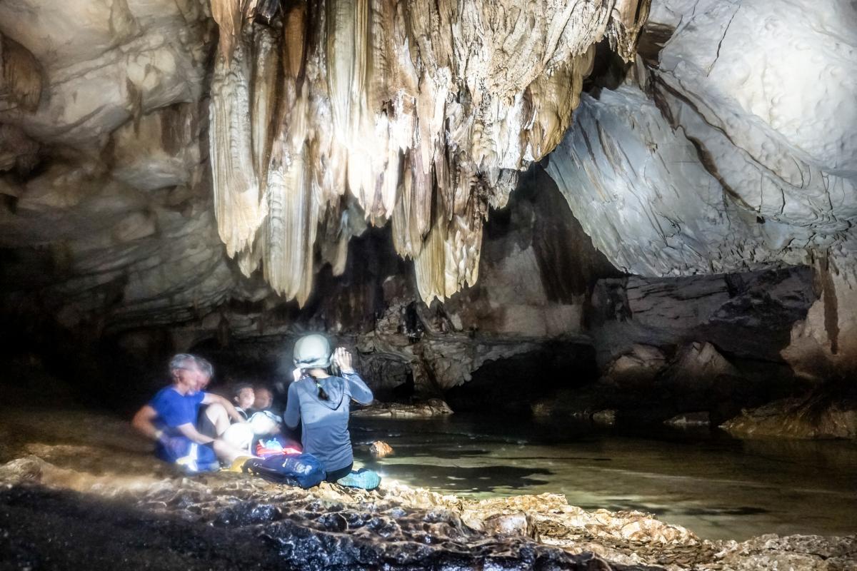 У печерах Камбоджі мешкають невідомі людству тварини: що знайшли вчені У печерах Камбоджі мешкають невідомі людству тварини: що знайшли вчені