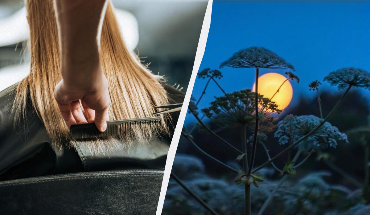 лунный календарь стрижек 