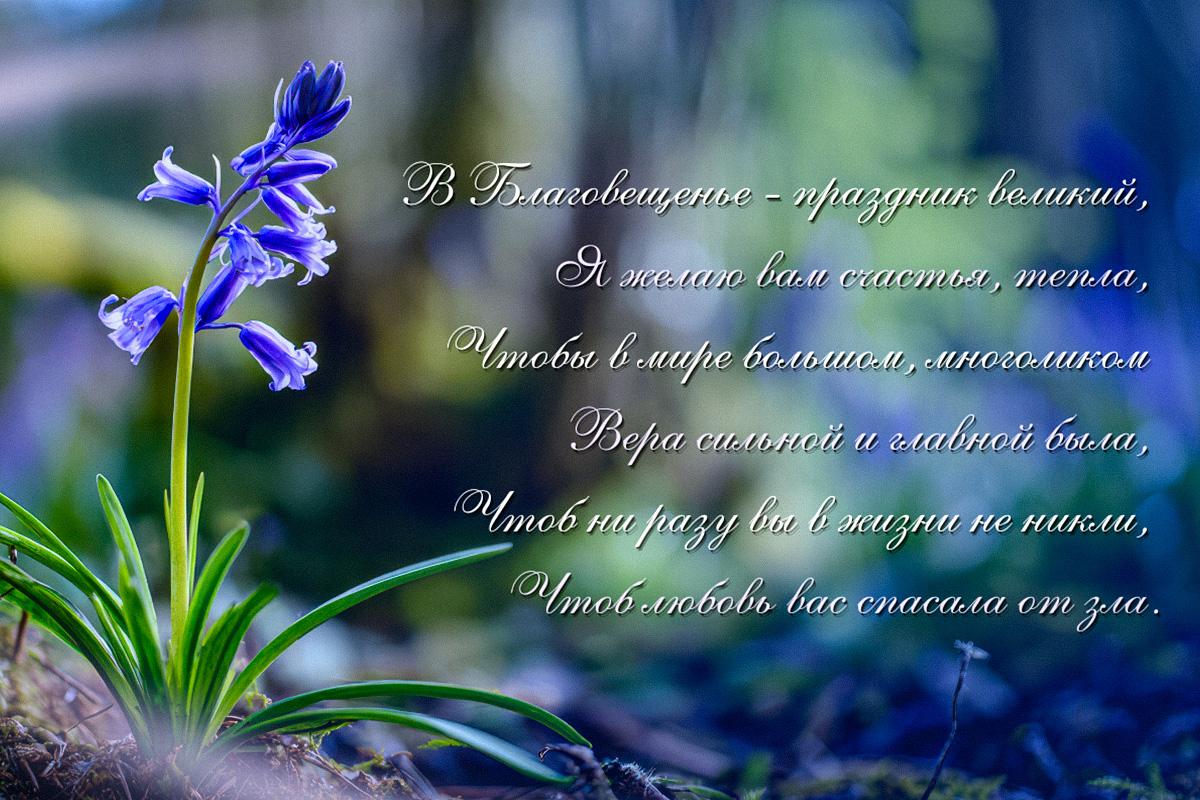 стильные открытки с благовещением