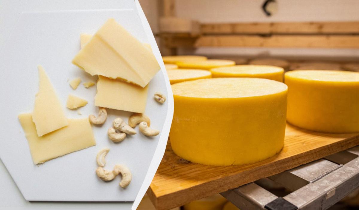 домашний сыр из молока и яиц