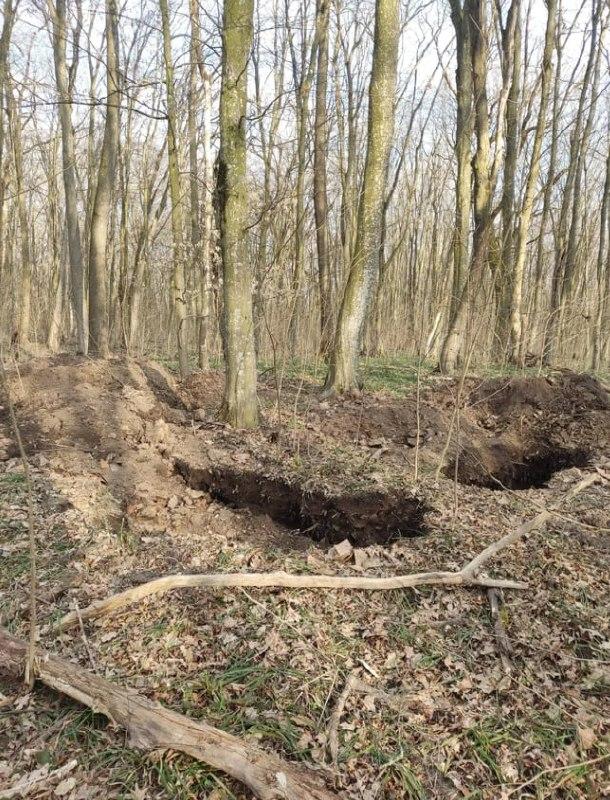 Пролежали в землі 5000 років: археологи виявили артефакти Трипольської культури на Тернопільщині