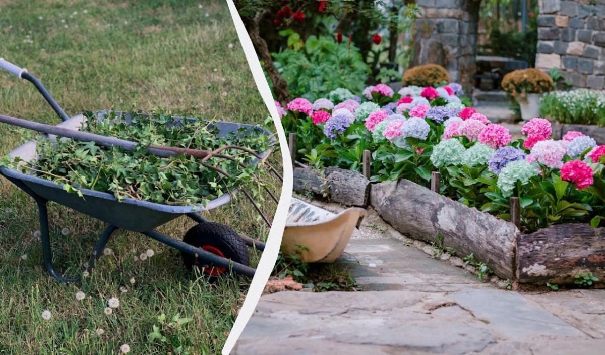 Что посеять, чтобы не рос бурьян Что посеять, чтобы не рос бурьян