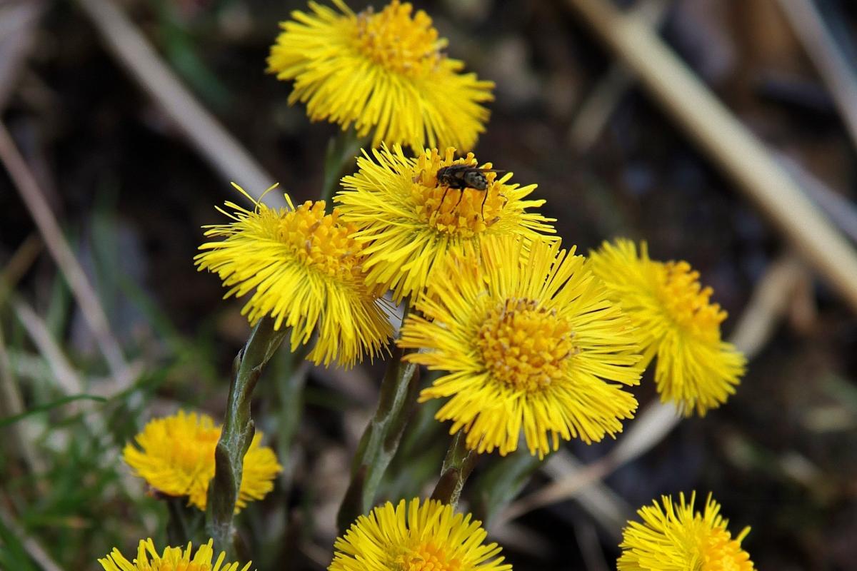 Прикмети на сьогодні Прикмети на сьогодні