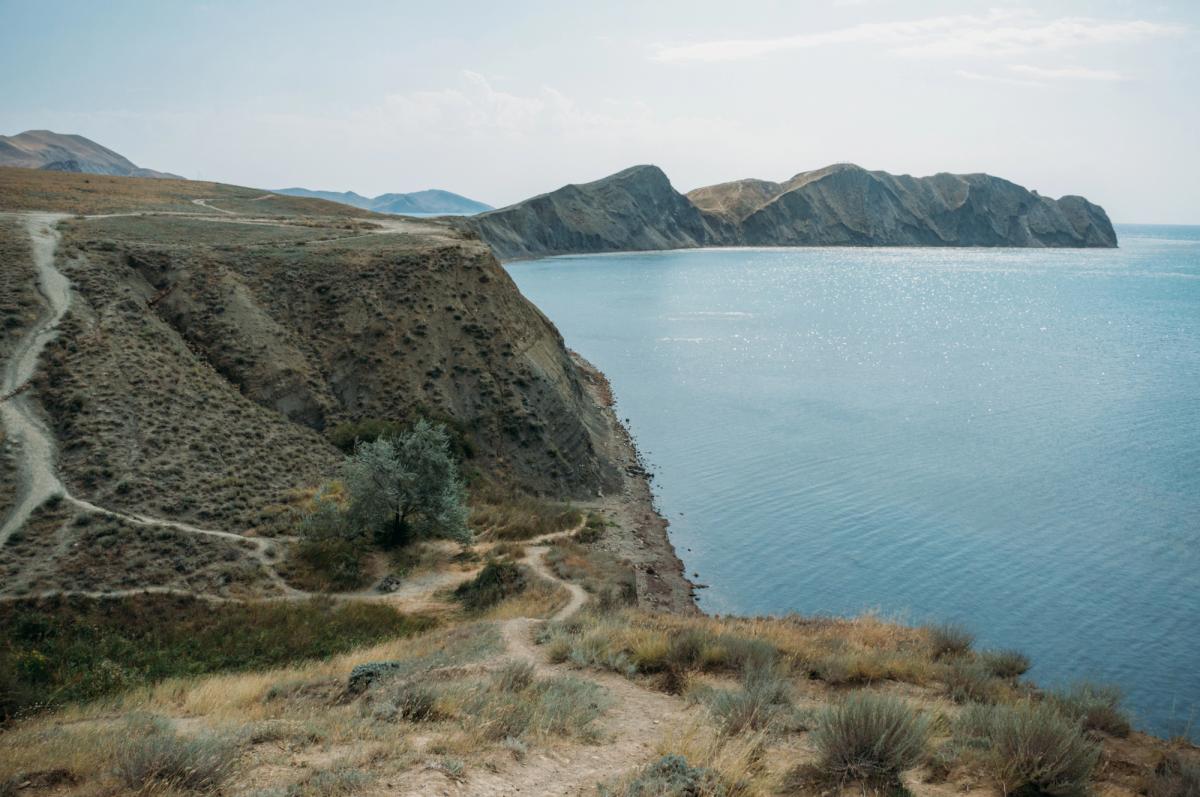 'Токсичный удар': ученые опасаются, что война толкает Черное море к точке невозврата 'Токсичный удар': ученые опасаются, что война толкает Черное море к точке невозврата