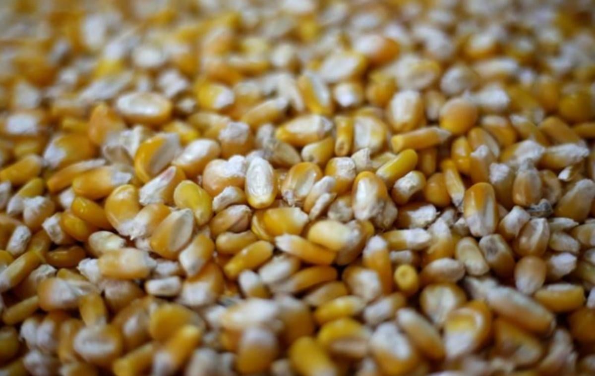 Смена контроля над грузом стала ключевым эпизодом в споре о возможном мошенничестве на $7 млн, - эксперт Смена контроля над грузом стала ключевым эпизодом в споре о возможном мошенничестве на $7 млн, - эксперт