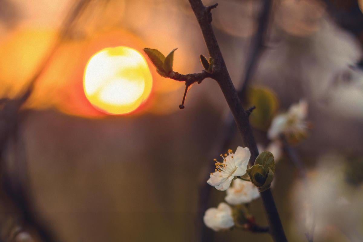 Місячний календар на квітень 2026 року