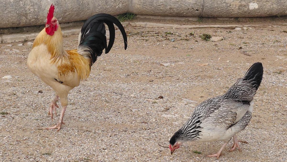 Кашкайш: затишний пляжний курорт в Португалії, де можна зазирнути в пащу Диявола Кашкайш: затишний пляжний курорт в Португалії, де можна зазирнути в пащу Диявола