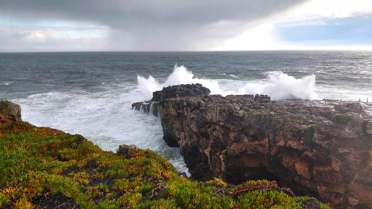 Океани по всій планеті темніють: вчений розповів, що відбувається