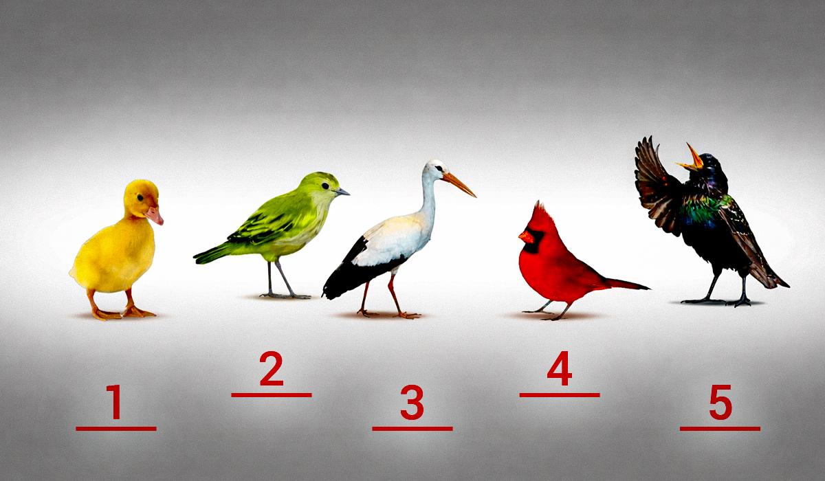 Дізнайтеся, чи є ви наївною людиною: психологічний тест із пташками