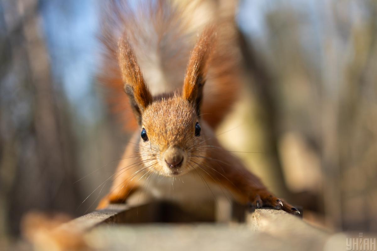 Выходные в Украине будут теплыми, но с нюансами, – синоптик Диденко Выходные в Украине будут теплыми, но с нюансами, – синоптик Диденко