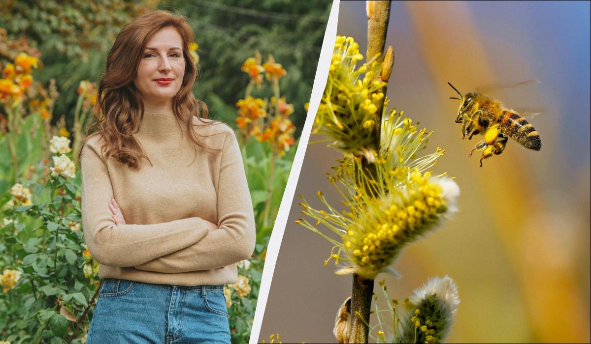 какой сегодня праздник какой сегодня праздник