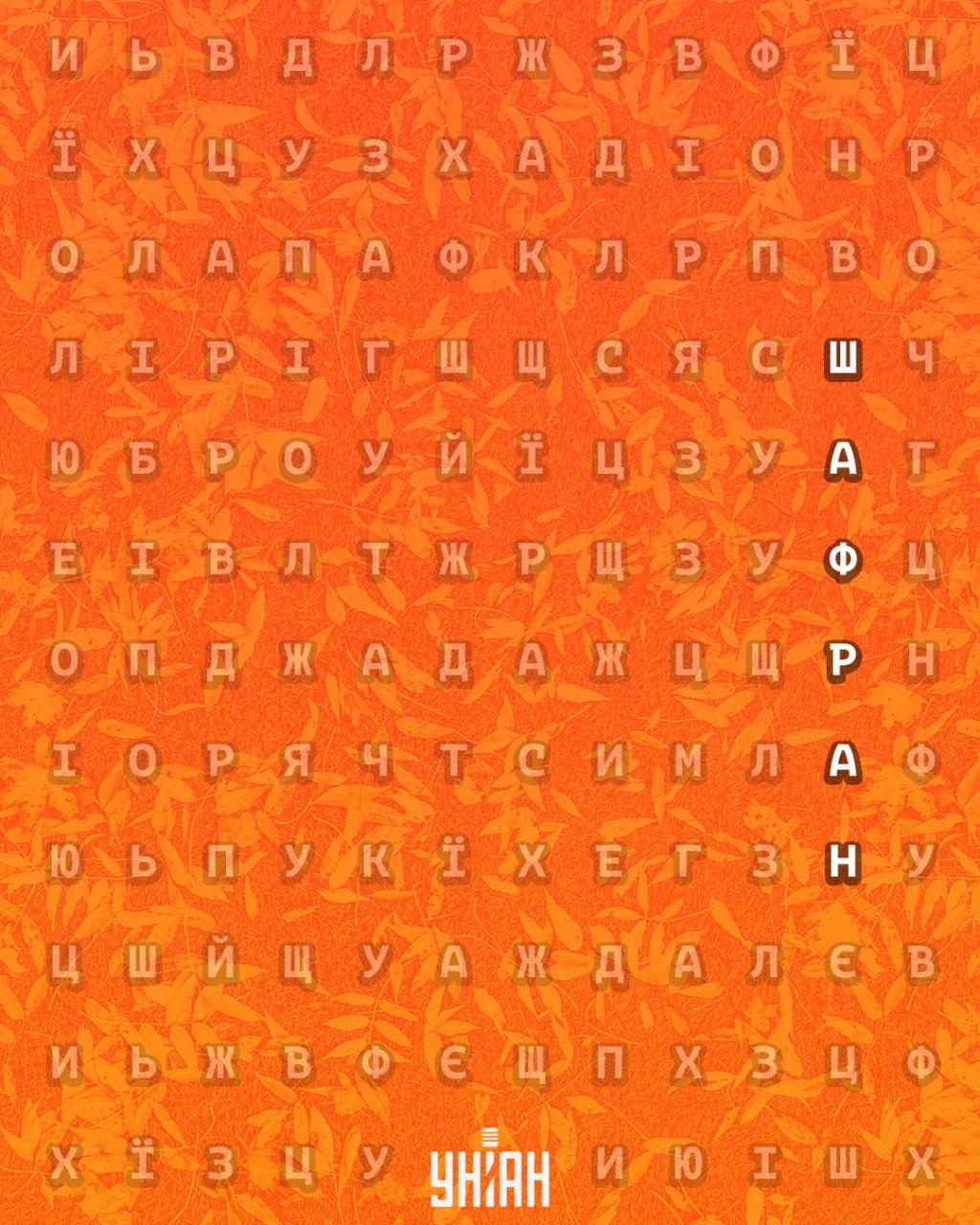 99% людей не можуть знайти слово 'шафран' за 11 секунд: дуже складна головоломка