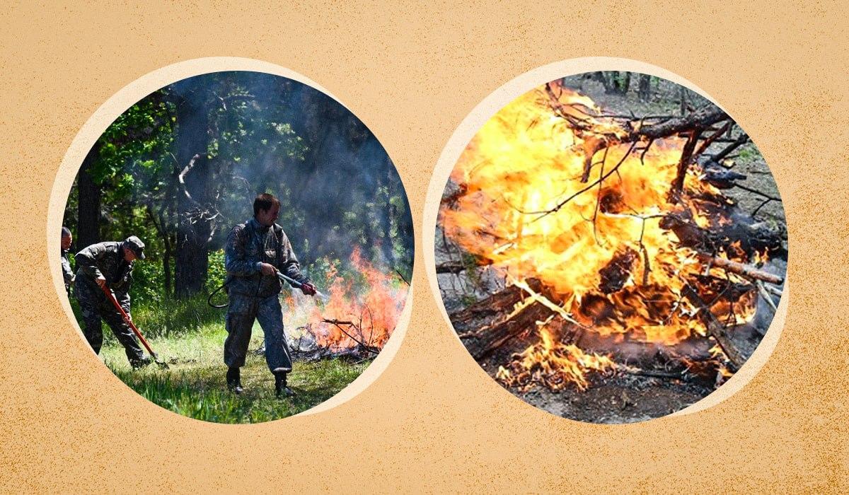 Можно ли сжигать ветки и мусор во дворе: в ГСЧС рассказали, когдах выписывают штраф Можно ли сжигать ветки и мусор во дворе: в ГСЧС рассказали, когдах выписывают штраф