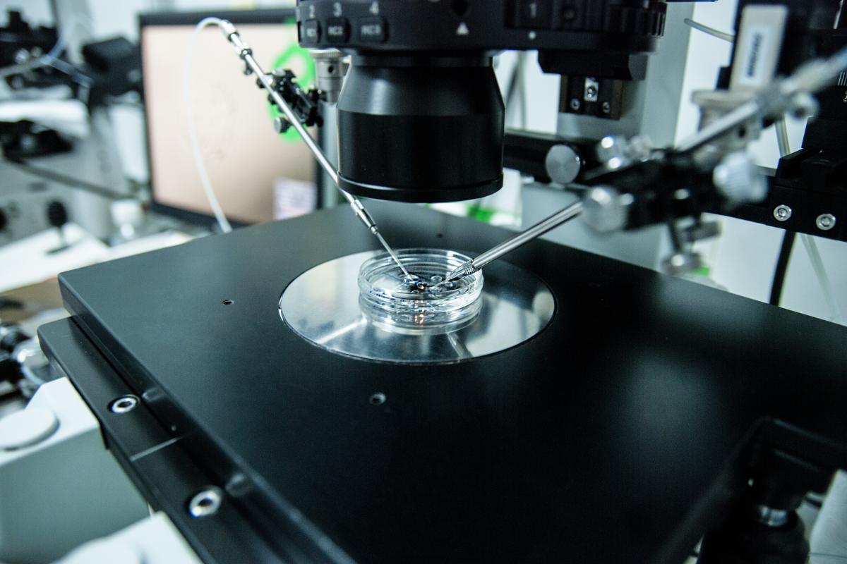 Лікуйте безпліддя за державний кошт: як зробити безкоштовне ЕКЗ в Інституті репродуктивної медицини Дахно