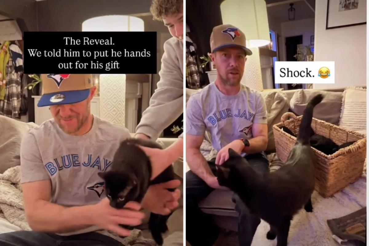 Семь вместо одного: жена случайно преподнесла мужу 'пушистый сюрприз'