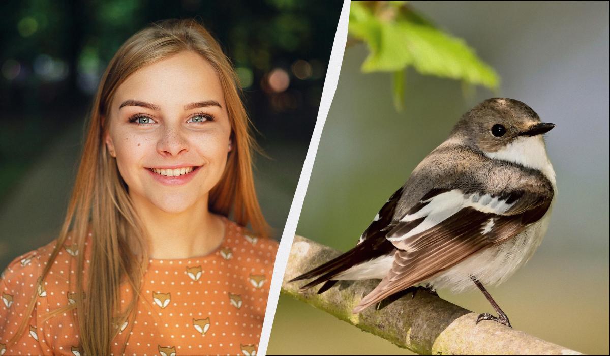 какой сегодня праздник