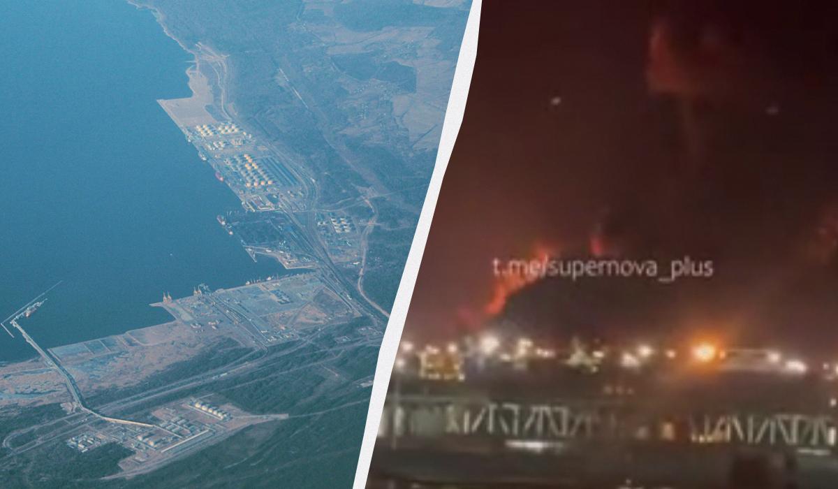 В Естонії впав український дрон, що мав атакувати порт Усть-Луга: чи є загроза цивільним