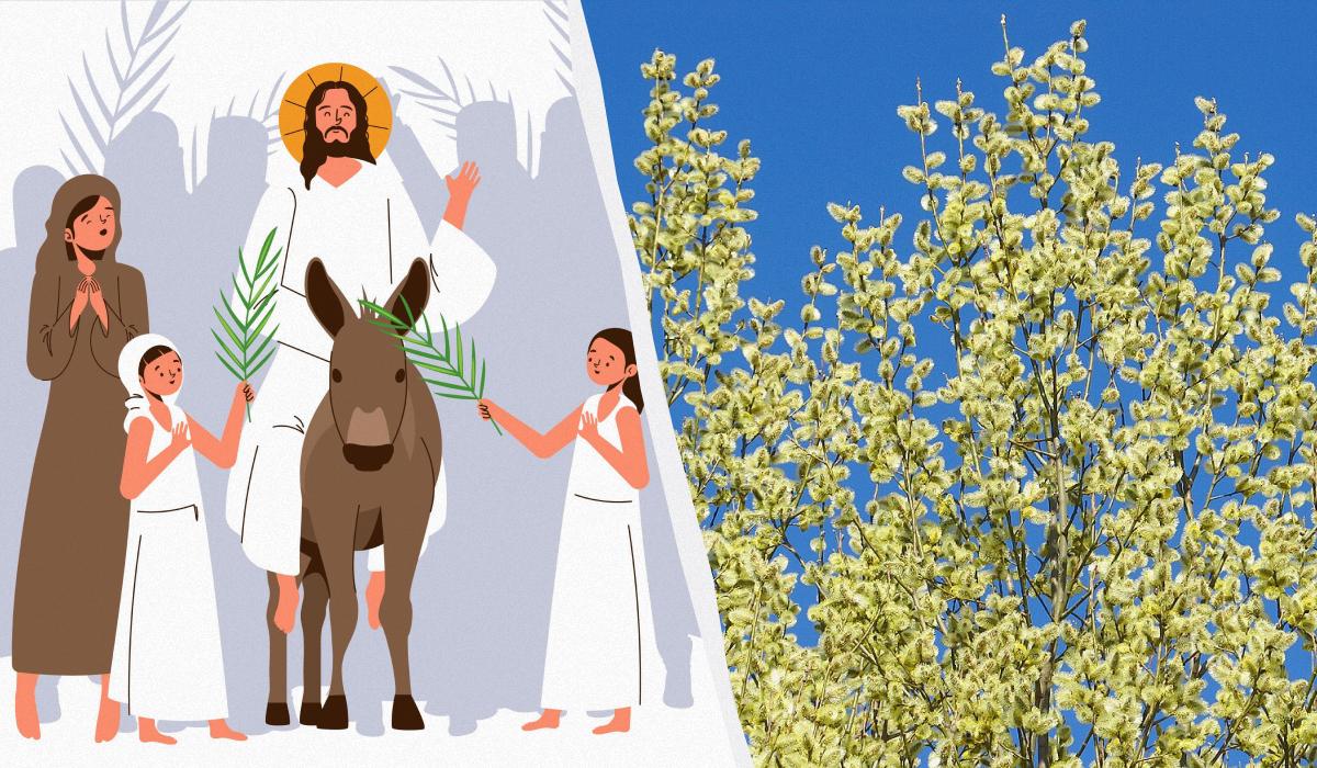 Чи є різниця між 