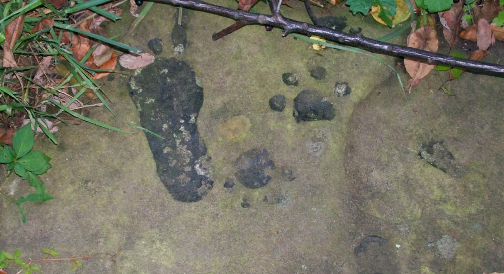 В США нашли 1000-летнюю скалу, покрытую неизвестными следами: что с ней произошло Kép