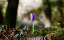 С сегодняшнего дня погода в Украине начнет меняться