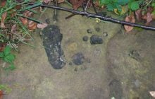 У США знайшли 1000-річну скелю, яка вкрита невідомими слідами: що з нею сталося