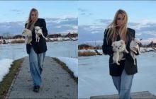 Сумская жестко оскандалилась в сети из-за трека россиянина (видео)