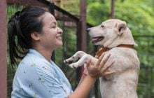 Підтримка громад і ветеринарної допомоги: Mars створює фонд із багаторічним фінансуванням