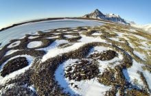 Ученые "разбудили" червя, который оставался замороженным в сибирской мерзлоте 46 тысяч лет