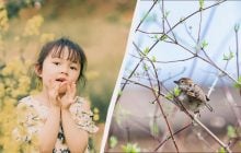 Свято 7 березня 2026: прикмети цього дня, що заборонено робити в кожному будинку