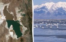 Ученые нашли жизнь там, где она невозможна: этих существ ранее не видели на Земле