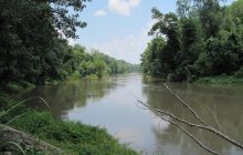 Простягається на 31 штат і є домом для дуже дивної тварини: що це за річка