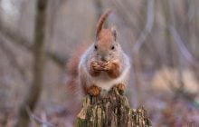 7 марта будем греться: температура порадует по всей Украине