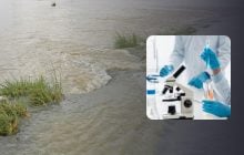 Ученые поставили точку в споре о том, что уничтожило развитую цивилизацию 4000 лет назад