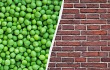 Началось все еще на Руси: почемы мы говорим "как об стенку горох"