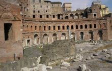 Под руинами в самом сердце Рима обитают удивительные существа "гиганты"