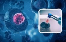 Лечение стволовыми клетками: первая страна в мире разрешила такую терапию