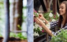 Зачем брызгать уксусом на балконе: простой трюк, который советуют все хозяйки