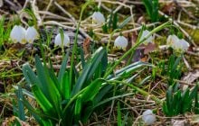 10 марта в Киеве будет один из самых теплых дней недели